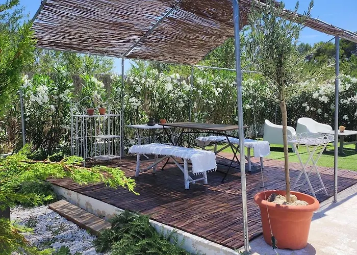 Les Moreres A Space For Tranquility * فالنسيا