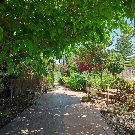 بيت للعطل Les Moreres A Space For Tranquility فالنسيا